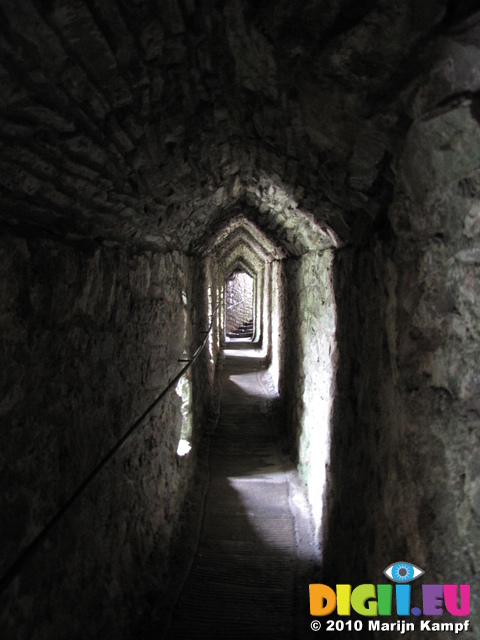 SX16121 Covered walkway towards caves under Carreg Cennen Castle